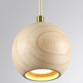 Подвесной светильник Odeon Light Caucho 7061/1 в Стрежевом - strezevoi.ok-mebel.com | фото 2