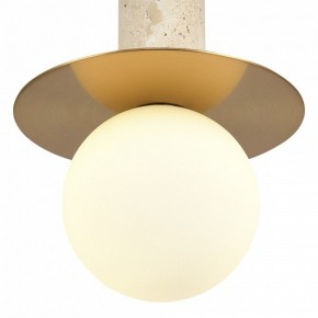 Подвесной светильник ST-Luce Earthy SL1194.303.01 в Стрежевом - strezevoi.ok-mebel.com | фото 5