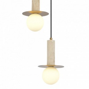 Подвесной светильник ST-Luce Earthy SL1194.303.03 в Стрежевом - strezevoi.ok-mebel.com | фото 4
