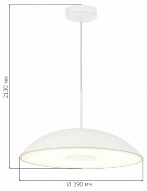 Подвесной светильник ST-Luce Lido SL6128.503.01 в Стрежевом - strezevoi.ok-mebel.com | фото 4