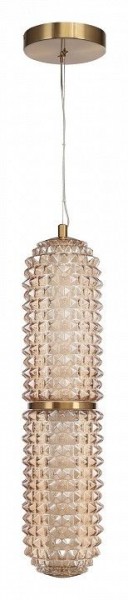 Подвесной светильник ST-Luce SAGUARO SL6144.303.01 в Стрежевом - strezevoi.ok-mebel.com | фото 3