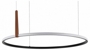 Подвесной светильник ST-Luce Shape SL6131.403.42 в Стрежевом - strezevoi.ok-mebel.com | фото 2