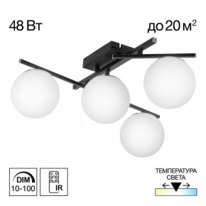 Потолочная люстра Citilux Dorsy CL223142 в Стрежевом - strezevoi.ok-mebel.com | фото 9