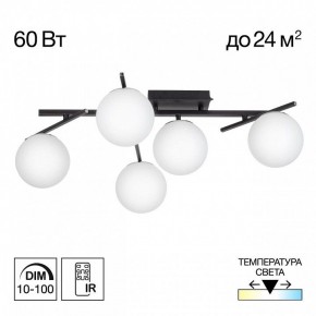 Потолочная люстра Citilux Dorsy CL223152 в Стрежевом - strezevoi.ok-mebel.com | фото 2