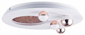 Потолочная люстра Favourite Plaides 4630-4C в Стрежевом - strezevoi.ok-mebel.com | фото 3