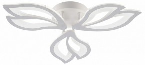 Потолочная люстра Natali Kovaltseva FORTUNA LED LAMPS 81107/2C в Стрежевом - strezevoi.ok-mebel.com | фото