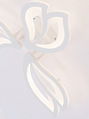 Потолочная люстра Natali Kovaltseva FORTUNA LED LAMPS 81107/2C в Стрежевом - strezevoi.ok-mebel.com | фото 11