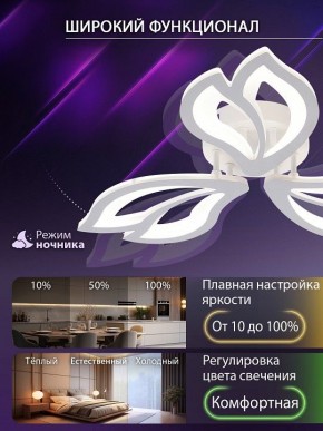 Потолочная люстра Natali Kovaltseva FORTUNA LED LAMPS 81107/2C в Стрежевом - strezevoi.ok-mebel.com | фото 5
