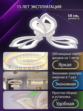 Потолочная люстра Natali Kovaltseva FORTUNA LED LAMPS 81107/2C в Стрежевом - strezevoi.ok-mebel.com | фото 6