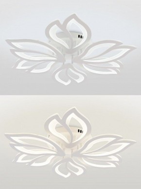Потолочная люстра Natali Kovaltseva FORTUNA LED LAMPS 81107/6C в Стрежевом - strezevoi.ok-mebel.com | фото 4