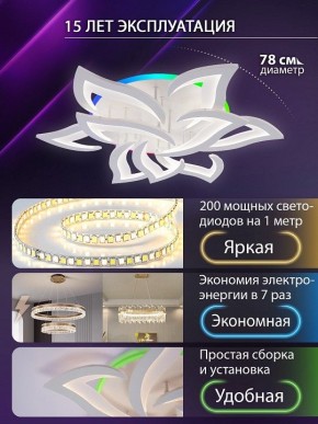 Потолочная люстра Natali Kovaltseva OLIMP LED LAMPS 81435 в Стрежевом - strezevoi.ok-mebel.com | фото 5