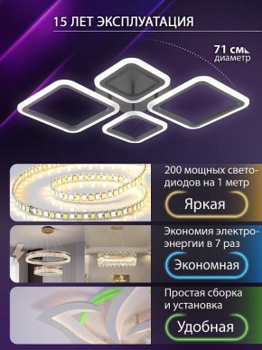 Потолочная люстра Natali Kovaltseva OPTI LED LAMPS 81108/2C в Стрежевом - strezevoi.ok-mebel.com | фото 5
