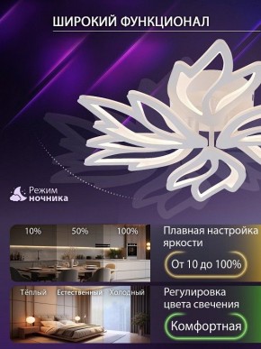 Потолочная люстра Natali Kovaltseva RIF LED LAMPS 81118/5C в Стрежевом - strezevoi.ok-mebel.com | фото 6