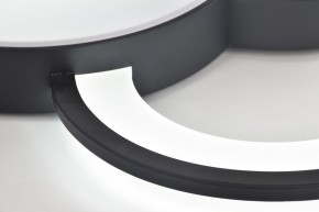 Потолочная люстра Rivoli Aliona Б0066452 в Стрежевом - strezevoi.ok-mebel.com | фото 10