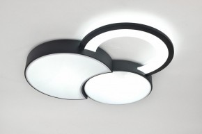 Потолочная люстра Rivoli Aliona Б0066452 в Стрежевом - strezevoi.ok-mebel.com | фото 8