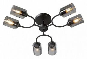 Потолочная люстра Vitaluce V2823 V2823-1/6PL в Стрежевом - strezevoi.ok-mebel.com | фото 2