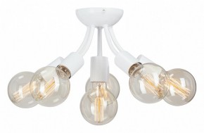 Потолочная люстра Vitaluce V3927 V3927-0/6PL в Стрежевом - strezevoi.ok-mebel.com | фото