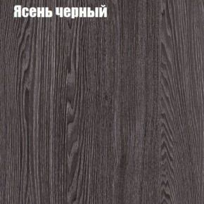 Прихожая ДИАНА-4 сек №6 (Ясень анкор/Дуб эльза) в Стрежевом - strezevoi.ok-mebel.com | фото 3