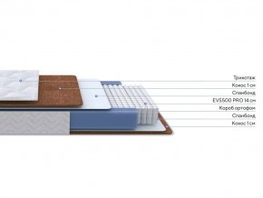 PROxSON Матрас Active F Roll (Ткань Трикотаж Эко) 80x190 в Стрежевом - strezevoi.ok-mebel.com | фото 2