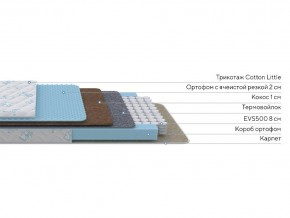 PROxSON Матрас Совенок (Cotton Little PROSON) 80x150 в Стрежевом - strezevoi.ok-mebel.com | фото 2