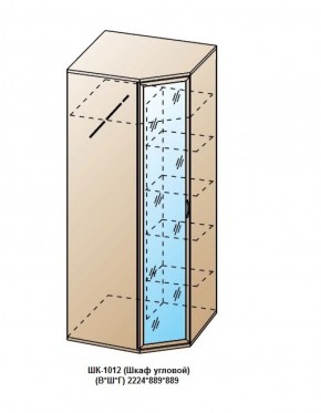 ШК-1012 (Шкаф угловой) в Стрежевом - strezevoi.ok-mebel.com | фото