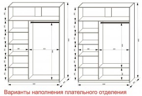 Шкаф-купе 1600 серии SOFT D6+D4+B2+PL2 (2 ящика+1штанга+1 полка) профиль «Капучино» в Стрежевом - strezevoi.ok-mebel.com | фото 8