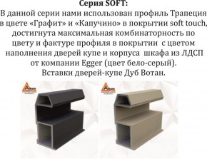 Шкаф-купе 1800 серии SOFT D1+D3+B2+PL1 (2 ящика+1штанга) профиль «Графит» в Стрежевом - strezevoi.ok-mebel.com | фото 11