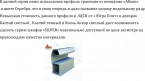 Шкаф-купе 1950 серии SILVER S3+S1+S3Z B22+PL2 (по 2 ящика лев/прав+1штанга+1 полка) профиль «Серебро» в Стрежевом - strezevoi.ok-mebel.com | фото 4