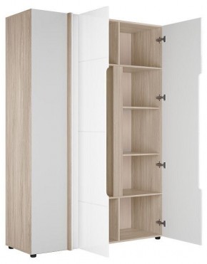 Шкаф платяной Данк в Стрежевом - strezevoi.ok-mebel.com | фото 2
