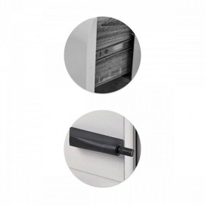 Шкаф платяной Элла в Стрежевом - strezevoi.ok-mebel.com | фото 3