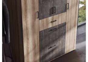Шкаф платяной Паркинс в Стрежевом - strezevoi.ok-mebel.com | фото 3
