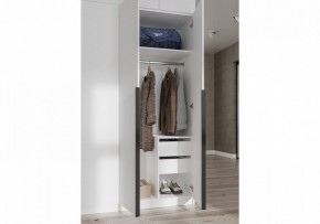 Шкаф платяной Широн в Стрежевом - strezevoi.ok-mebel.com | фото 3