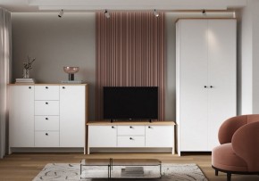 Шкаф платяной Теодора в Стрежевом - strezevoi.ok-mebel.com | фото 4