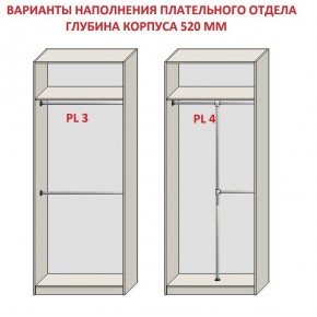 Шкаф распашной серия «ЗЕВС» (PL3/С1/PL2) в Стрежевом - strezevoi.ok-mebel.com | фото 10