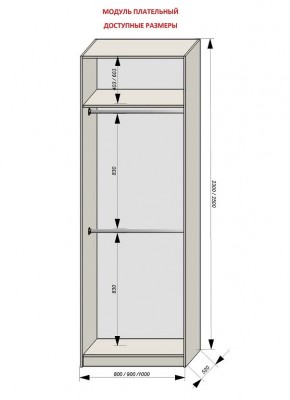 Шкаф распашной серия «ЗЕВС» (PL3/С1/PL2) в Стрежевом - strezevoi.ok-mebel.com | фото 12