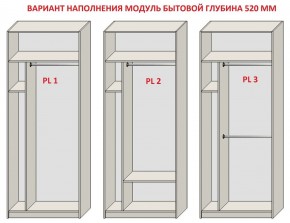 Шкаф распашной серия «ЗЕВС» (PL3/С1/PL2) в Стрежевом - strezevoi.ok-mebel.com | фото 5