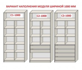 Шкаф распашной серия «ЗЕВС» (PL3/С1/PL2) в Стрежевом - strezevoi.ok-mebel.com | фото 7