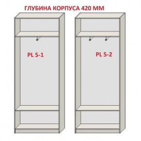 Шкаф распашной серия «ЗЕВС» (PL3/С1/PL2) в Стрежевом - strezevoi.ok-mebel.com | фото 8