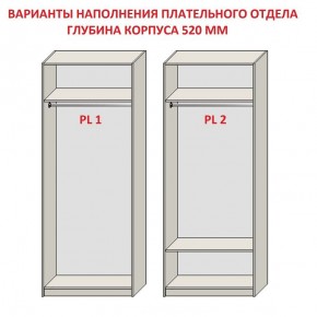 Шкаф распашной серия «ЗЕВС» (PL3/С1/PL2) в Стрежевом - strezevoi.ok-mebel.com | фото 9