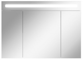 Шкаф-зеркало Аврора 100 с подсветкой LED Домино (DV8012HZ) в Стрежевом - strezevoi.ok-mebel.com | фото