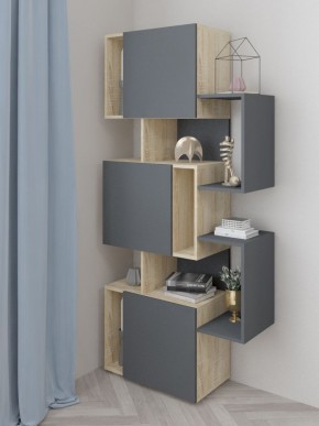 Стеллаж Дублин в Стрежевом - strezevoi.ok-mebel.com | фото 2