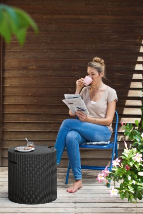 Столик-холодильник Кул-Стул (Cool stool) графит в Стрежевом - strezevoi.ok-mebel.com | фото
