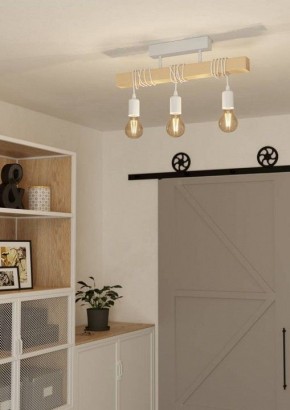 Светильник на штанге Eglo TOWNSHEND 44082 в Стрежевом - strezevoi.ok-mebel.com | фото 2