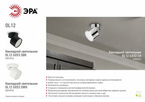 Светильник на штанге Эра OL12 GX53 SBK Б0049034 в Стрежевом - strezevoi.ok-mebel.com | фото 5