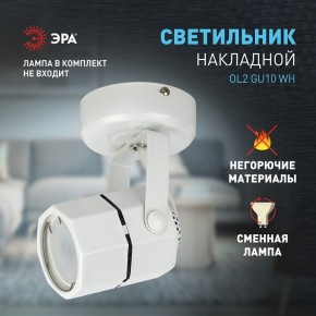 Светильник на штанге Эра OL2 GU10 WH Б0044259 в Стрежевом - strezevoi.ok-mebel.com | фото 3