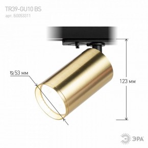 Светильник на штанге Эра  TR39-GU10 BS в Стрежевом - strezevoi.ok-mebel.com | фото 6