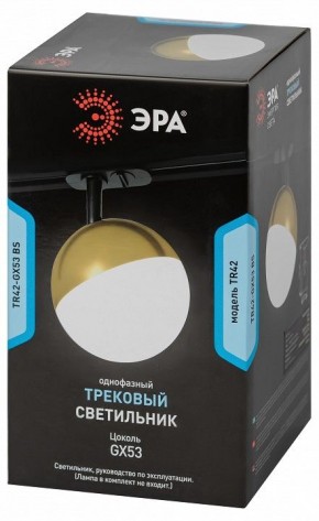 Светильник на штанге Эра  TR42-GX53 BS в Стрежевом - strezevoi.ok-mebel.com | фото 6