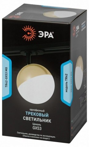 Светильник на штанге Эра  TR42-GX53 MG в Стрежевом - strezevoi.ok-mebel.com | фото 6