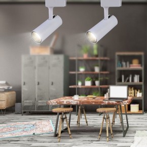 Светильник на штанге Эра  TR5-20 COB WH в Стрежевом - strezevoi.ok-mebel.com | фото 4