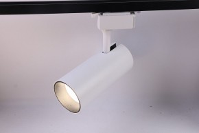 Светильник на штанге Эра  TR5-30 COB WH в Стрежевом - strezevoi.ok-mebel.com | фото 2